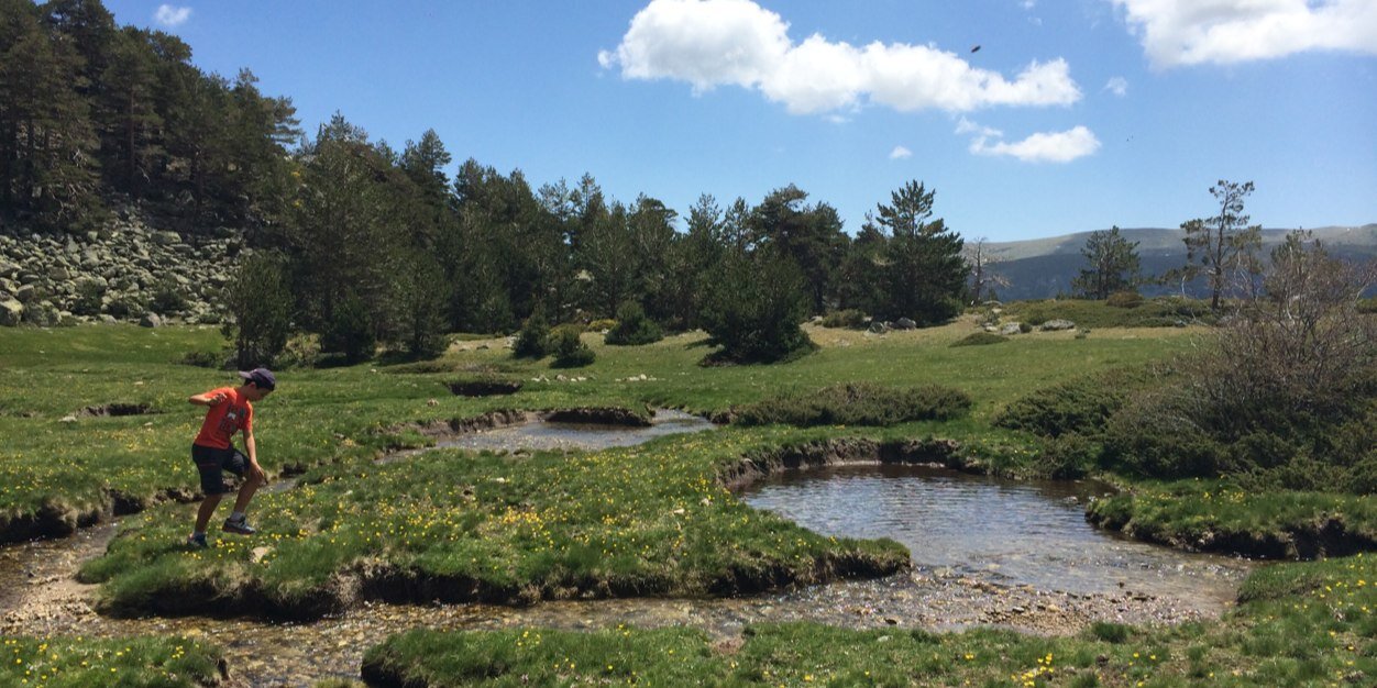 Sonia Sanchez banner