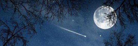 moon_perla's profile banner image