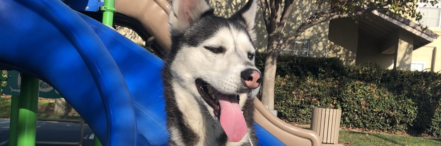 HayleeIsTired_'s profile banner image