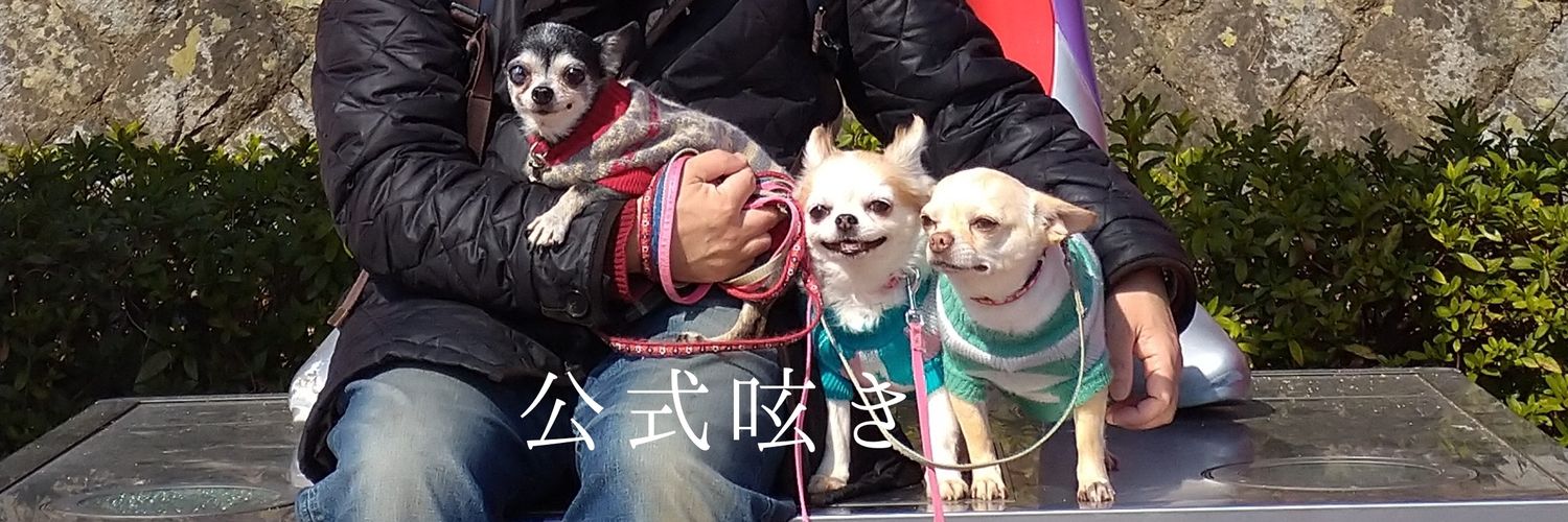 春木 俊男's banner