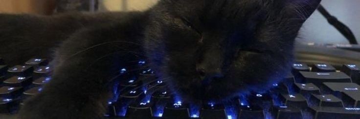 am_jenos's profile banner image