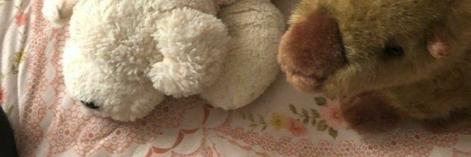semreine's profile banner image