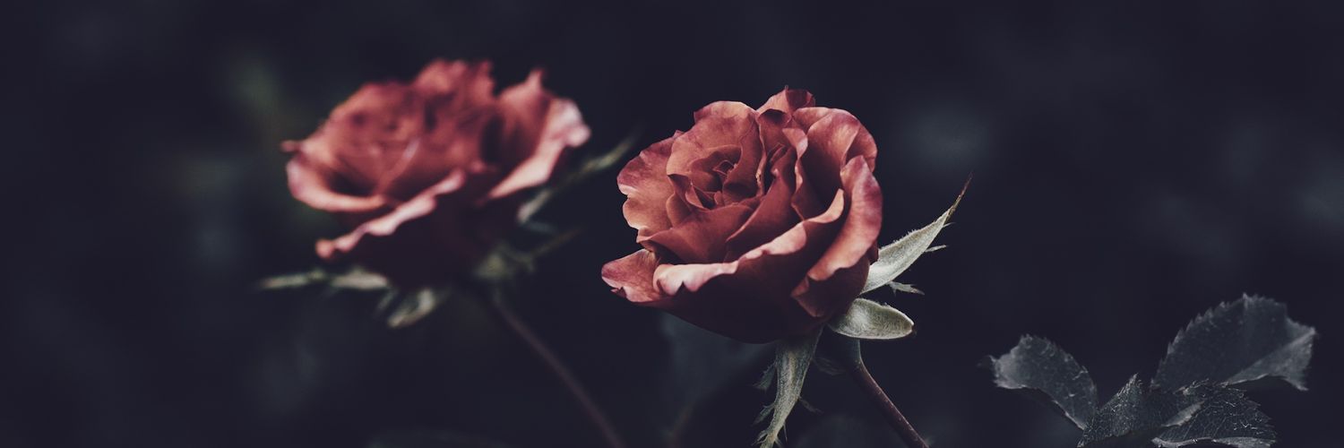 rainy_lie's profile banner image