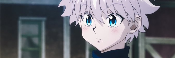 zarko banner