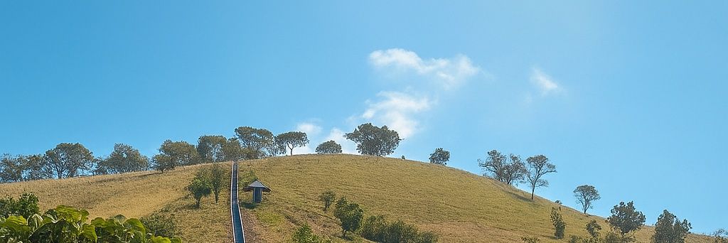 Teh banner