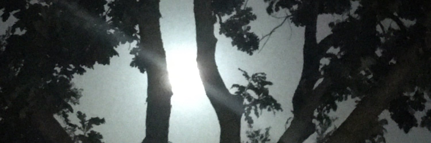 TheNewsIsBasic banner