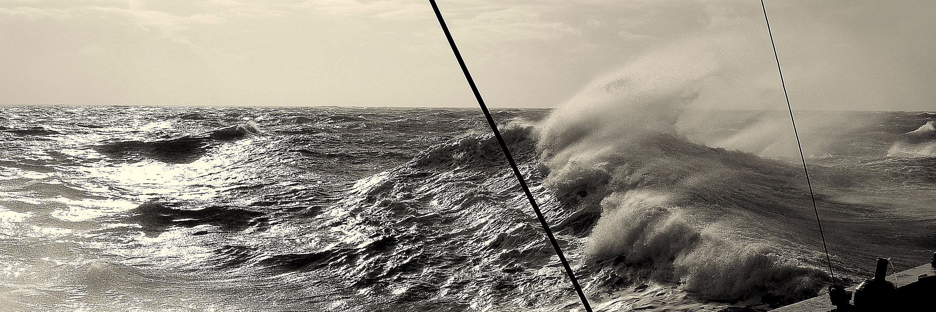 Elisa Capuzzo banner