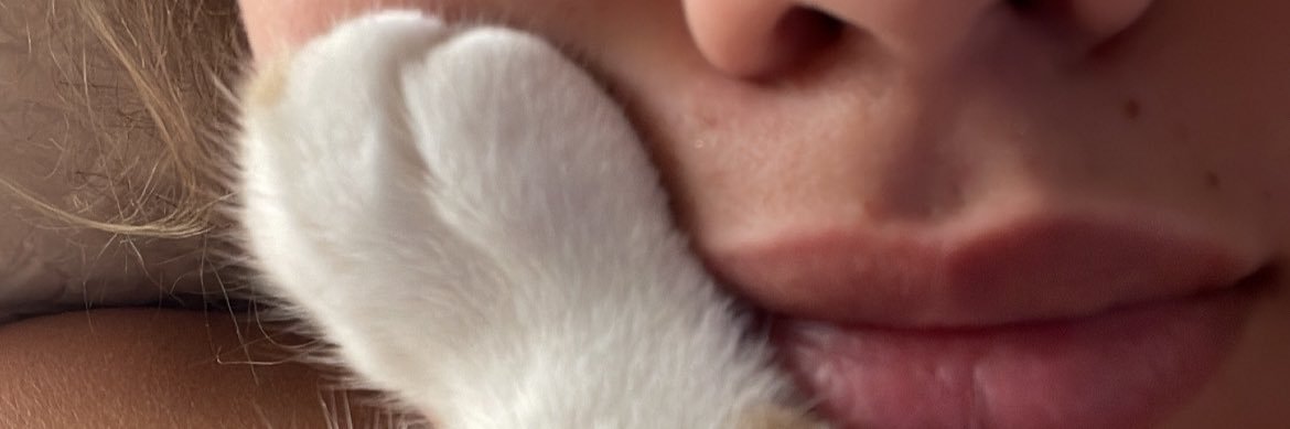 cotilicious's profile banner image