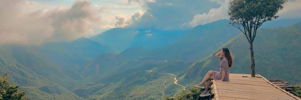 Lucia blanco  banner