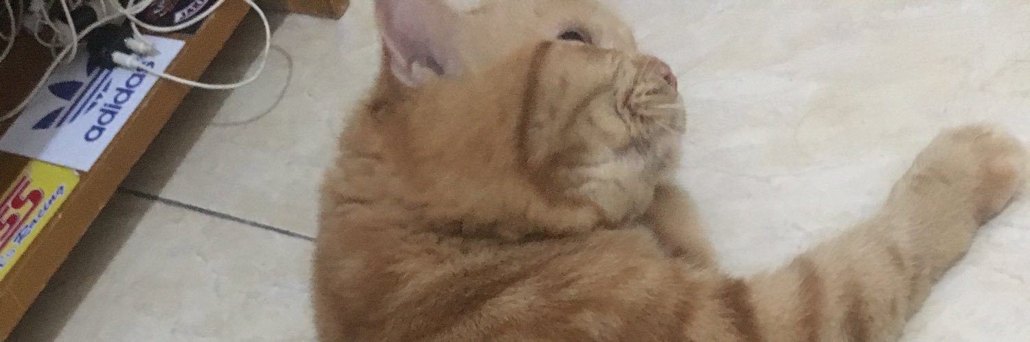 desstata's profile banner image