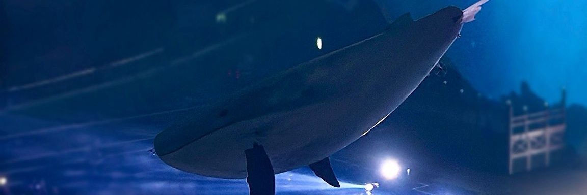 brigyul's profile banner image