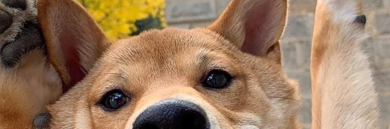 raycounter's profile banner image