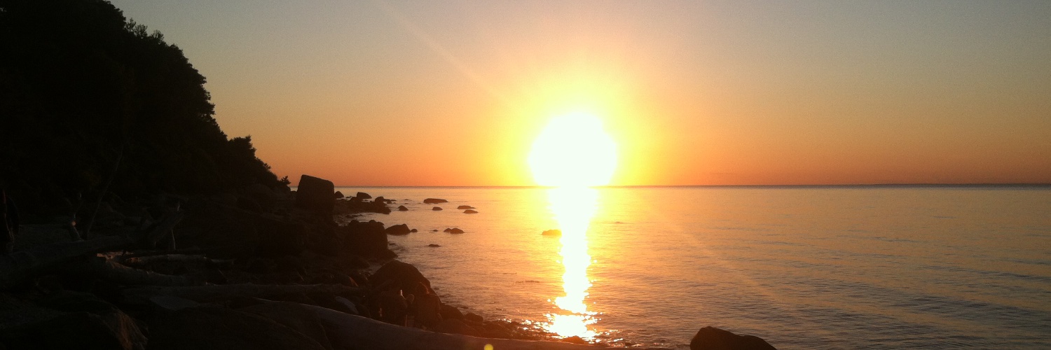 Jim_Phoenixa's profile banner image