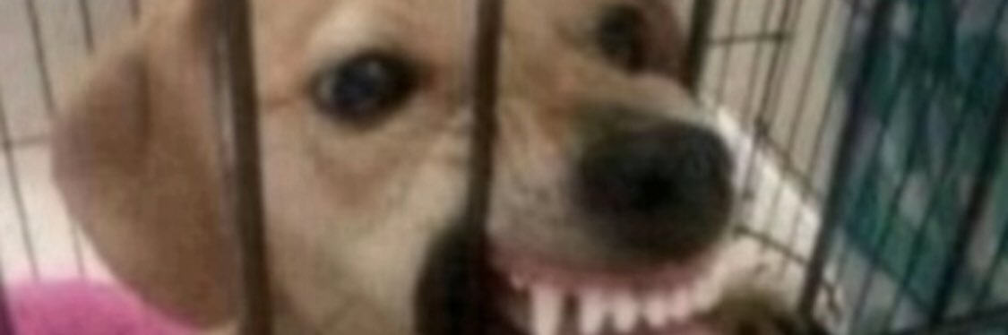 sschminkyy's profile banner image