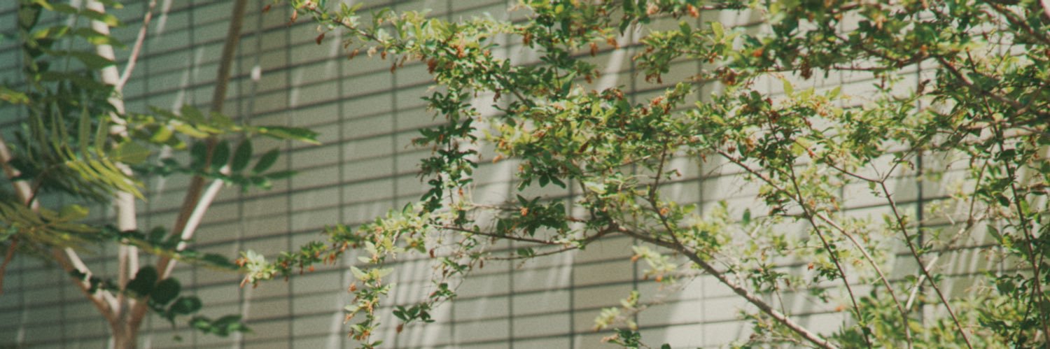 sunatsukin's profile banner image