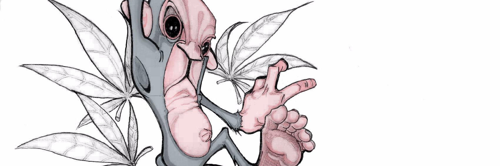 mestefe's profile banner image