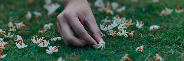 soberjilli Profile Banner