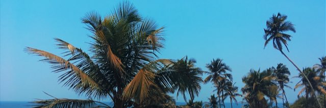lucyy_pearson's profile banner image
