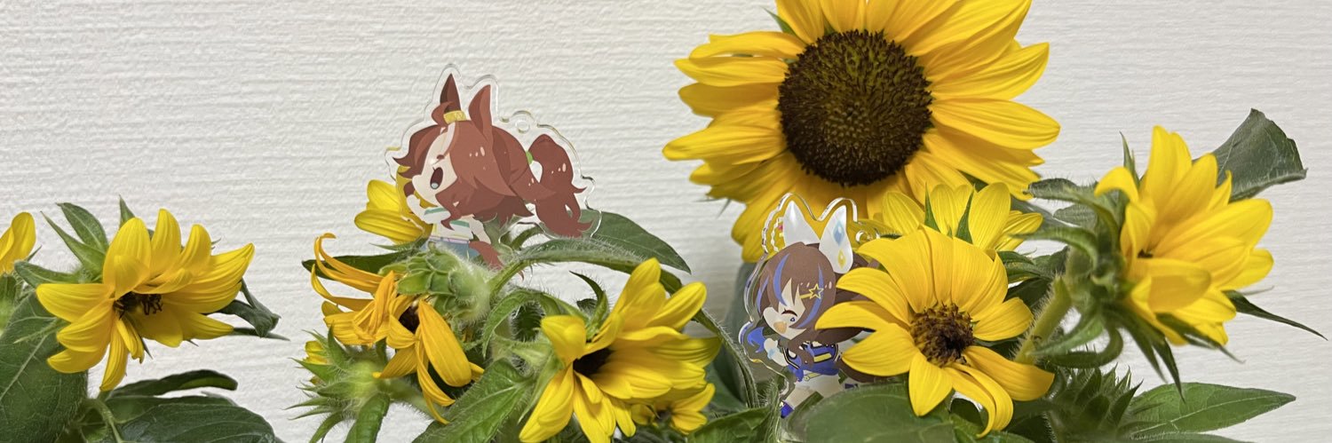 tkht0210u's profile banner image