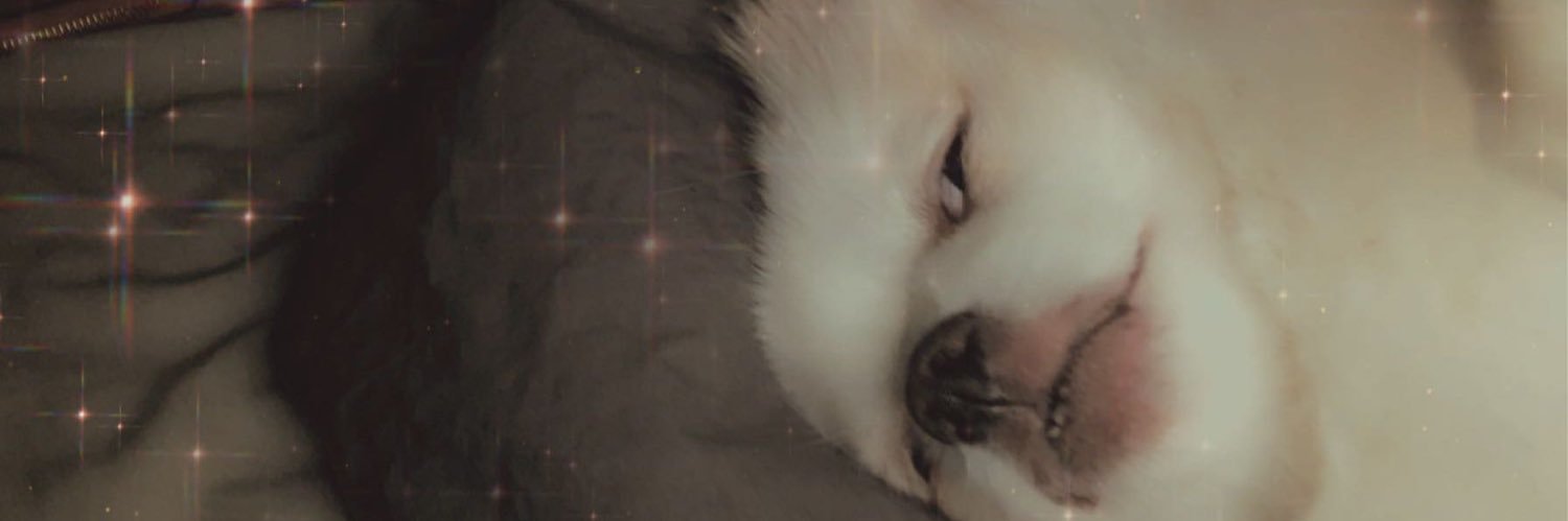 yogos06's profile banner image