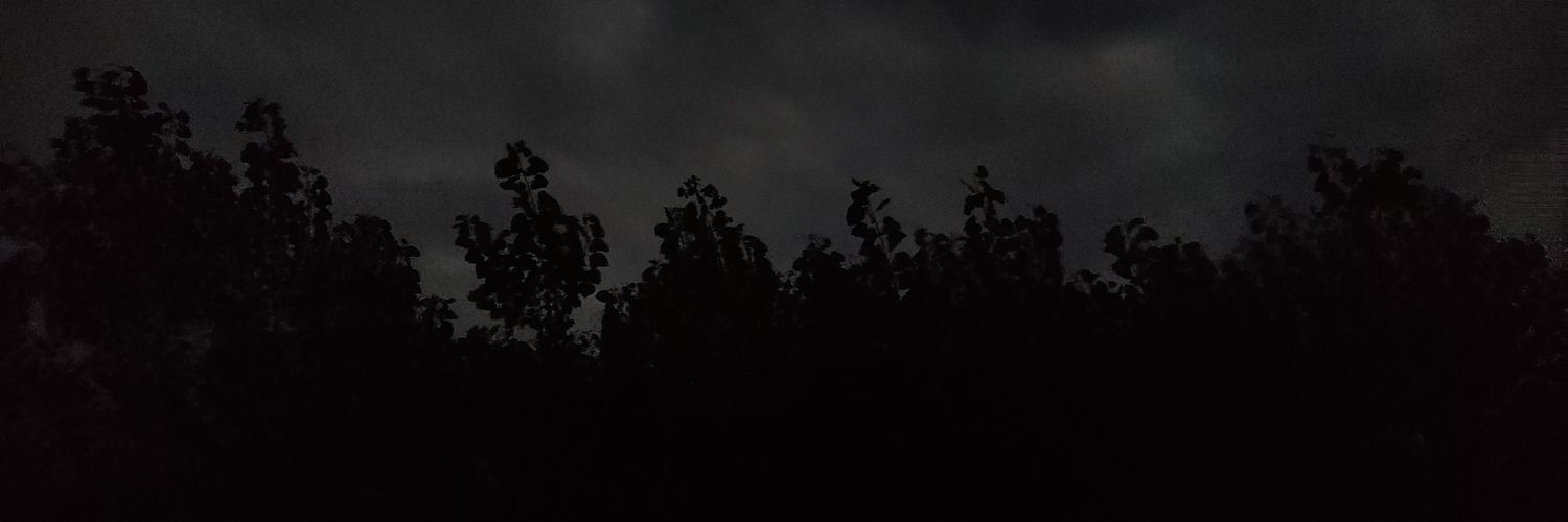 Loolivash_T's profile banner image
