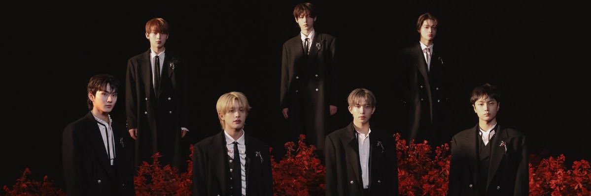 d⁷ 🍀 banner