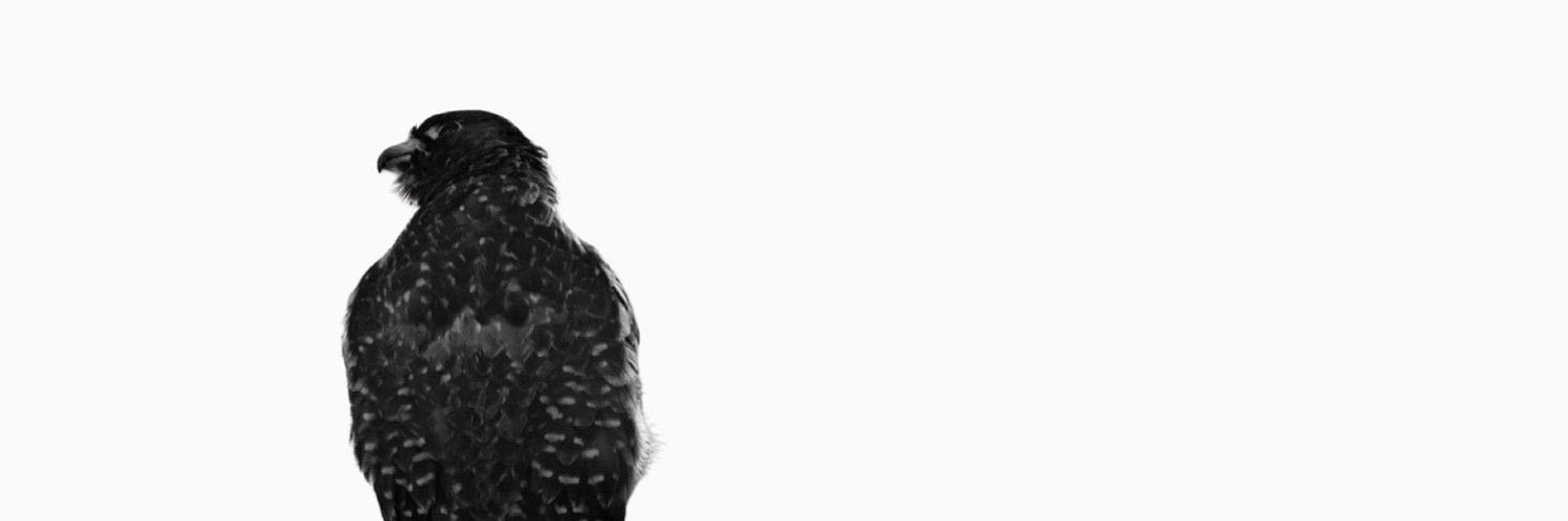 RawanSubaie's profile banner image