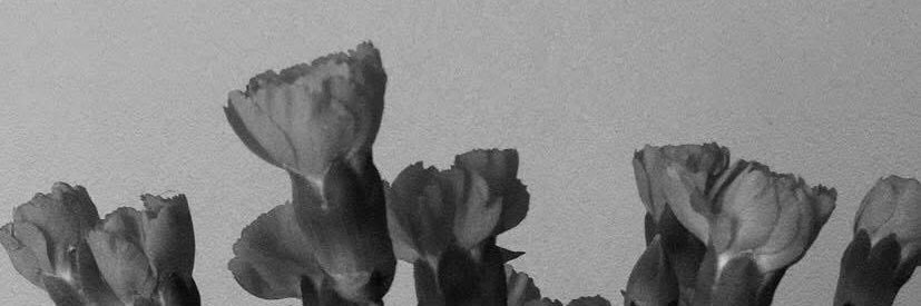 adre_____'s profile banner image