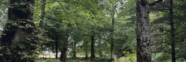 IslayPharmacist Profile Banner