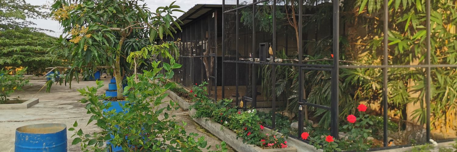Aviary Indonesia 76 - WKCA banner