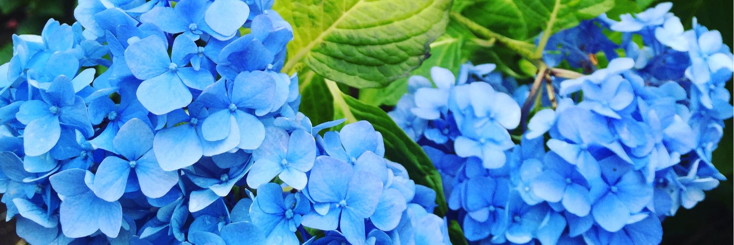 Sui5232's profile banner image