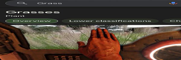 Entroprox Profile Banner
