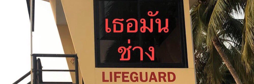 แมวดำทุกตัวบนโลกเป็นเด็กดี banner
