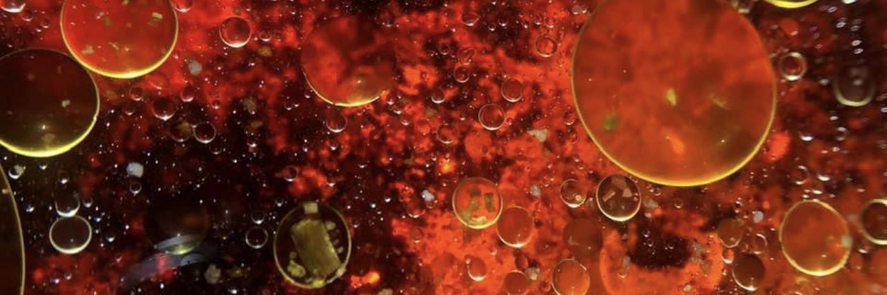 LinDixonBarr1's profile banner image