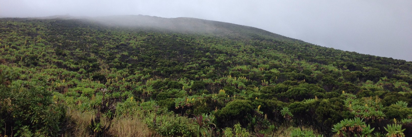 Baraka Kasali banner