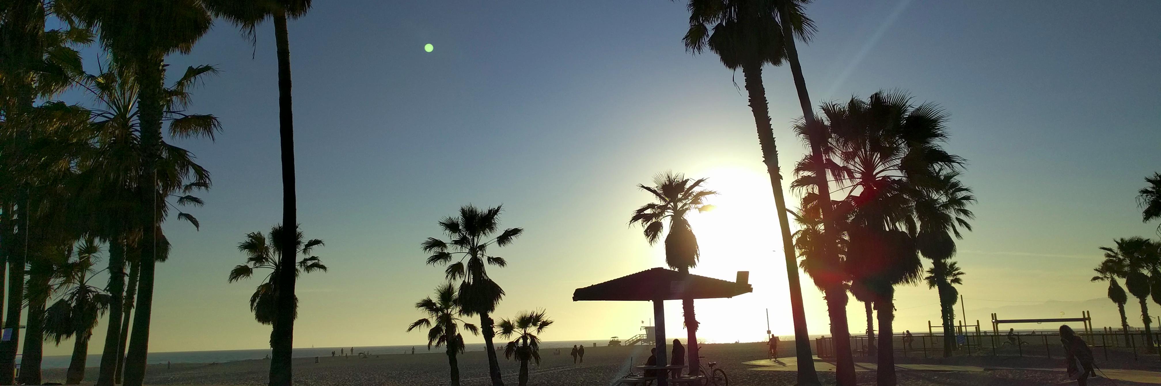 LilliJane's profile banner image