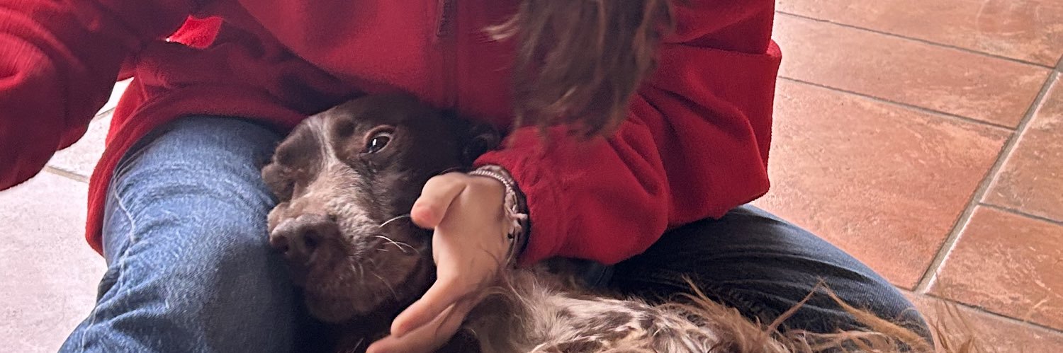 merrycj_'s profile banner image