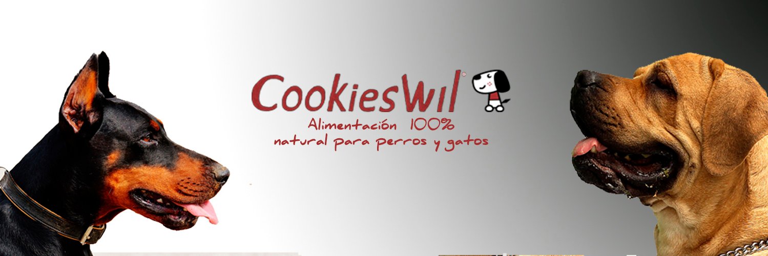 Cookieswil's profile banner image
