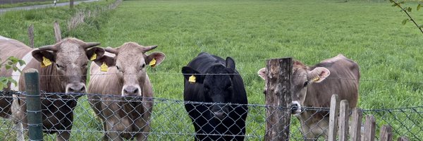 __Lady_L_1_ Profile Banner