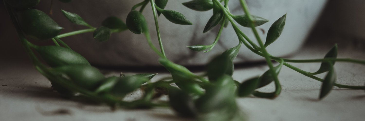 Samantha McEwan banner