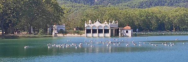 MontseBugo Profile Banner