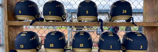 nebstealth Profile Banner