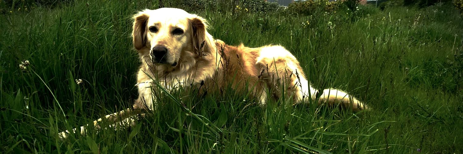 David C Cranham 🤍🖤🤍🖤🤍 banner