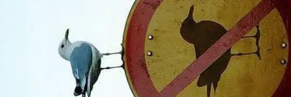 yuvalpatelMD Profile Banner