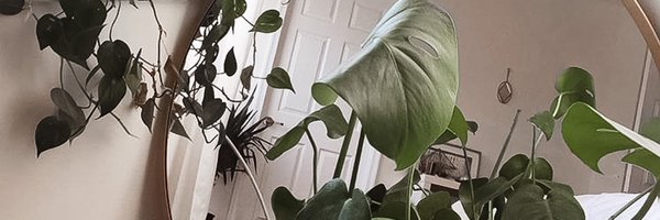 locksylene Profile Banner