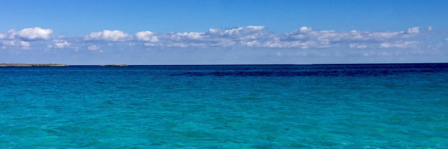 mikebrodt's profile banner image