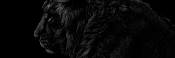 Exo0Tv's profile banner image