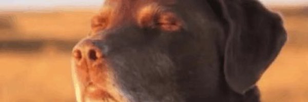 LukeBrenner12 Profile Banner