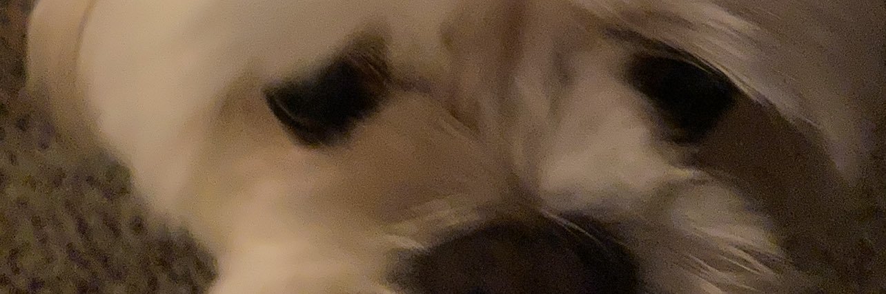 livemount's profile banner image