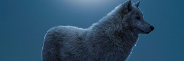 LoneWolve11 Profile Banner